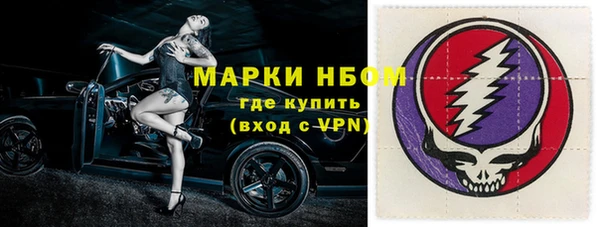 гашик Верея
