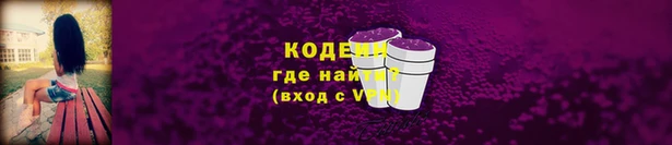 гашик Верея