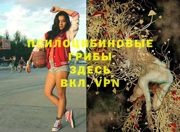 гашик Верея