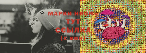 гашик Верея