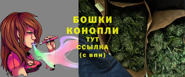 стаф Бугульма