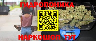 индика Волжский