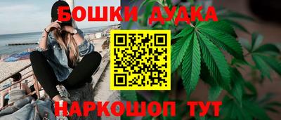 индика Волжский