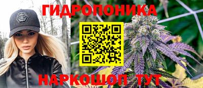 индика Волжский