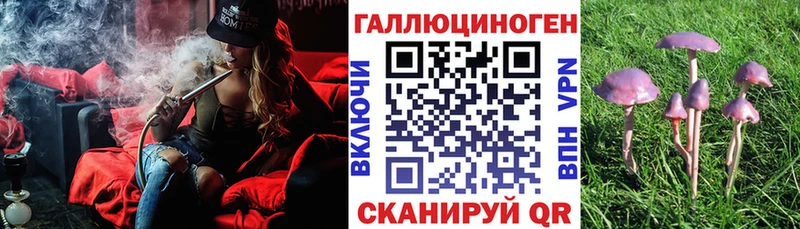 kraken онион  Воскресенск  Галлюциногенные грибы Psilocybe  закладка 