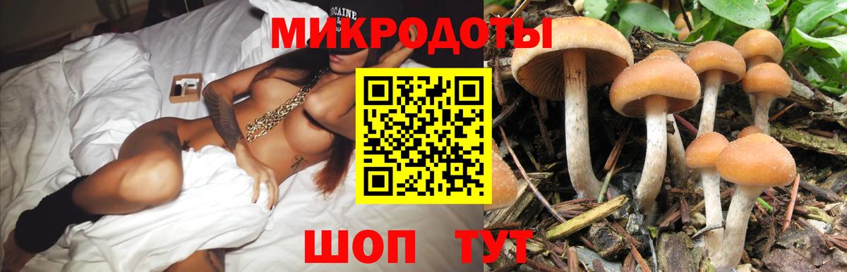 Псилоцибиновые грибы Psilocybe  Вход с VPN  Воскресенск 